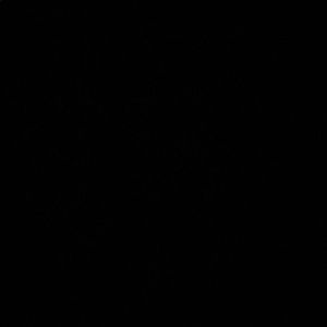 Meet your Posher, Bobby